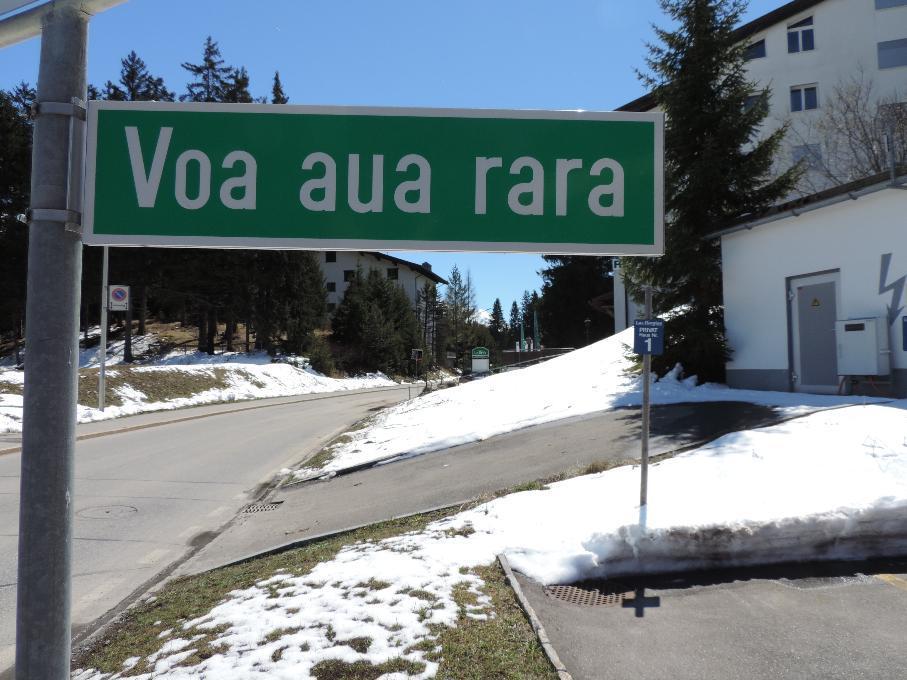 Las Bargias 8 Lenzerheide/Lai Exterior foto